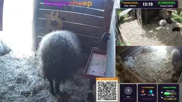 ❤️YouTube Rabbi Rothschild: discord.gg/pXv9hTu72a