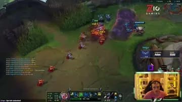 assafdasdf