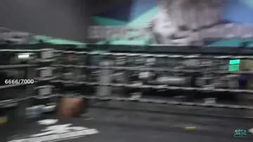 pro