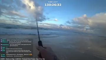 Sea Eagle Swoops In Again Snagging a Small Dart
