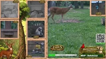 Oh Deer!