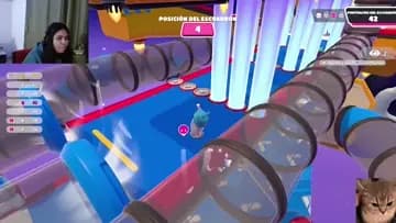 de un bot se transformo a una bola de pingpong