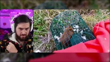 Documental de frifayero🐭