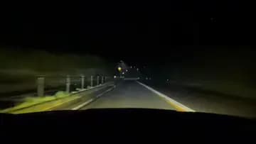 轢かれた鹿