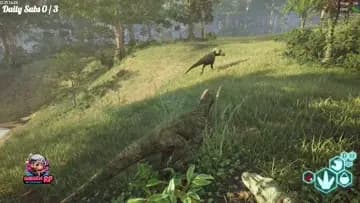 rawr