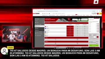 Pájaro Narrador