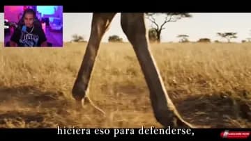 RD JAVI THE_BEST