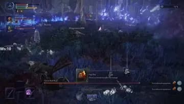 scholar not having Fun