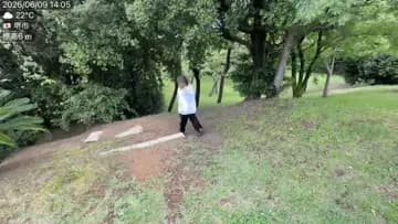 こけるぷりこ