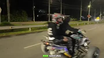 clips