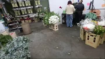 preparação do buque de nicotina