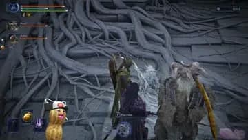 BP