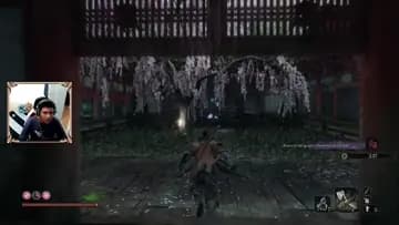 somos el equipo sekiro