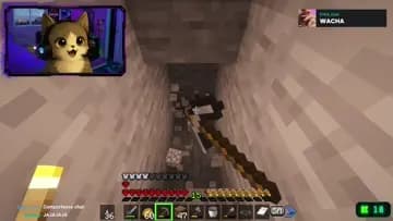 XD