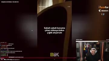 kedi