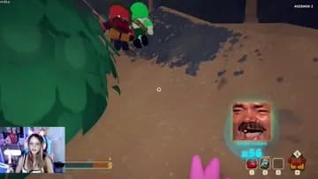 xd