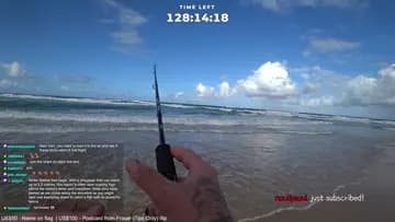 Bird Back Again And Scores!
