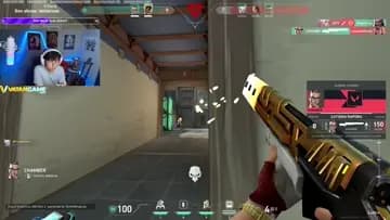 skye flashı