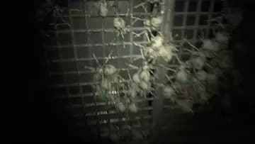 JUMPSCARE!!