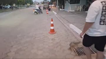 kedi atak
