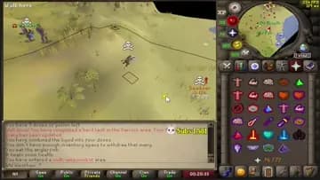dd