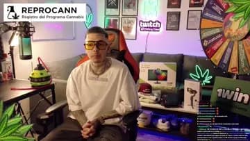 Reducción de Daños y Cannabis Med | Clip