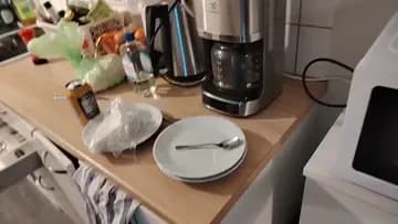 pakastin irti
