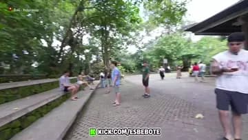 jaja