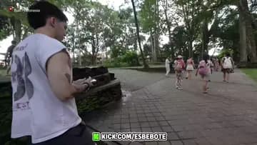 clip del mono