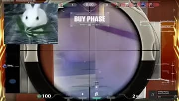 cok dandik ace