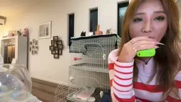 ガイジ以下はヤバい