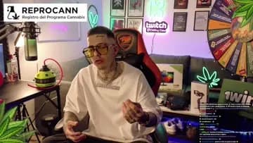 Reducción de Daños y Cannabis Med | Clip