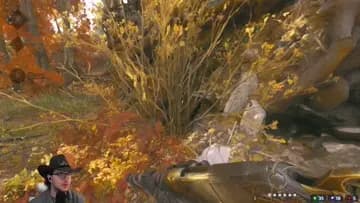 Card saves busters ass