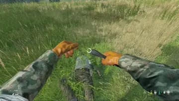 ancient ritual