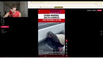 yo vep esto y digo bien ahi