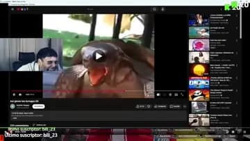 aaaa