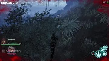 pt