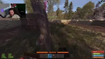 Mangoya WALL