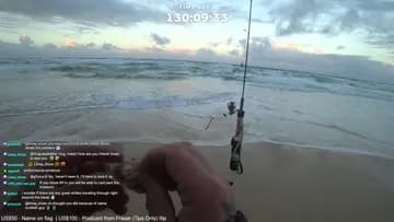 Dart Caught With Pippi Shell Left On-Bird Snagged