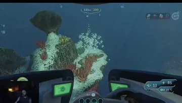 fishes!