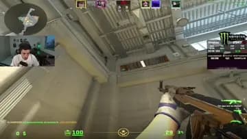 Xd