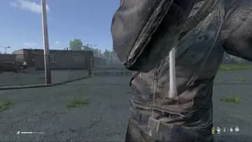 freshie fights