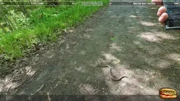 snek