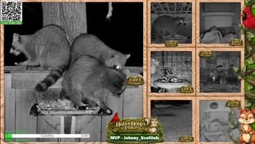 Dinner Time!