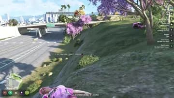 oopsie