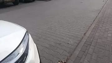 ssssssss