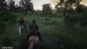 wolves