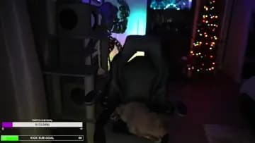Cheese the Streamer