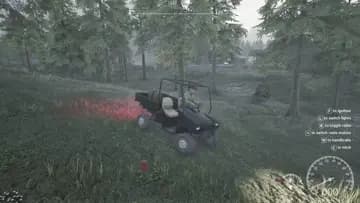 bear hit by car