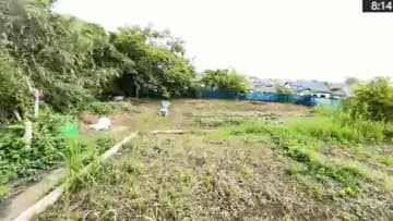 今日もいたモグラ